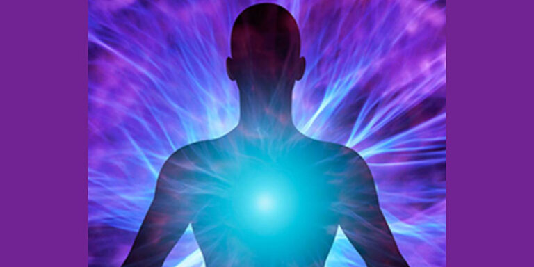 Somos un Sistema Vivo